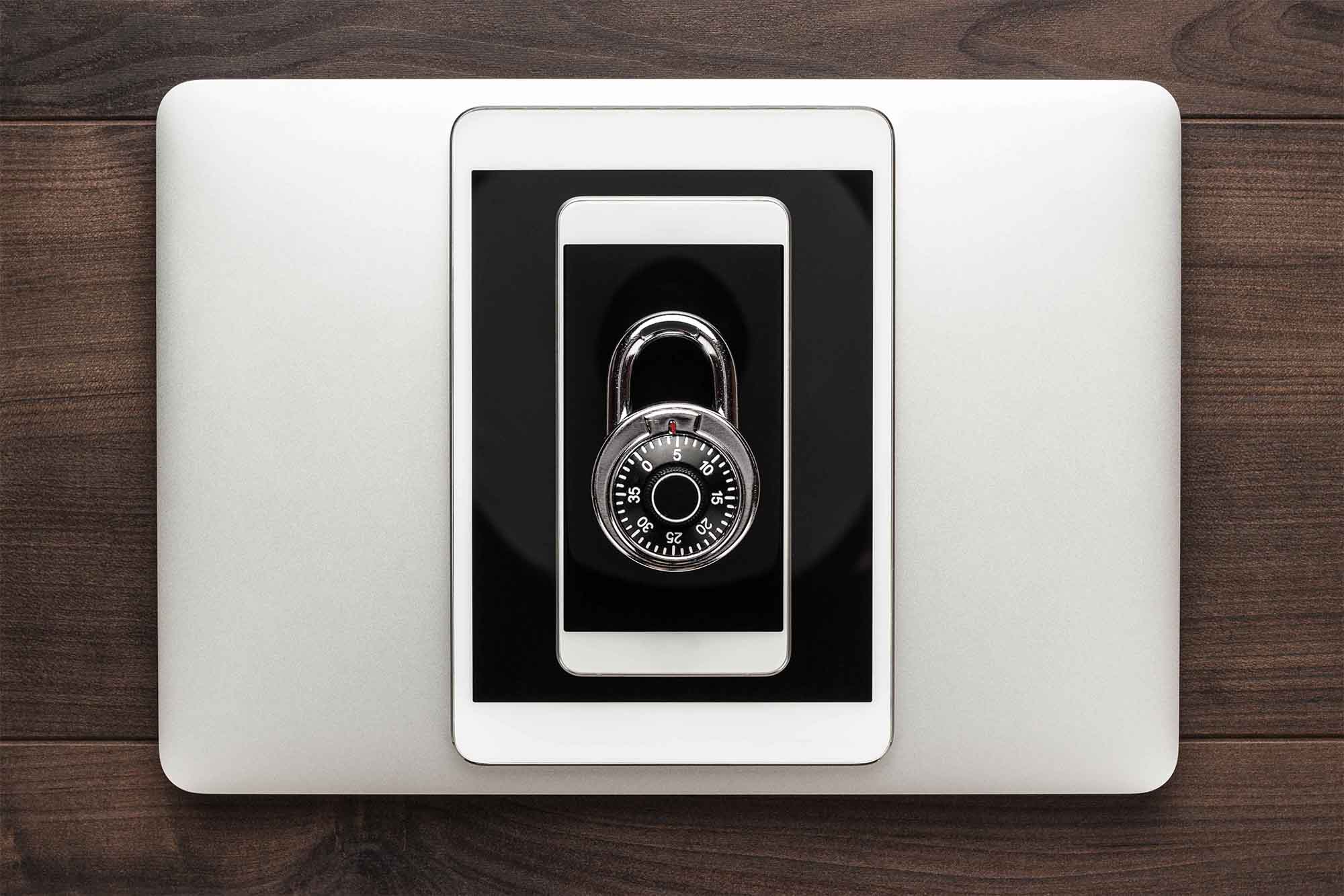 Cyber Security_padlocked devices access control and intruder detection systems integriti high security